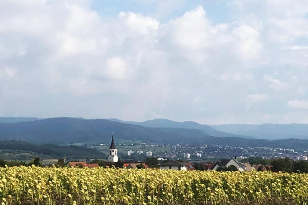 Kleines Haeuschen Zum Wohlfuehlen Διαμέρισμα Balingen Εξωτερικό φωτογραφία